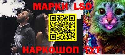 молекула духа Коммунар