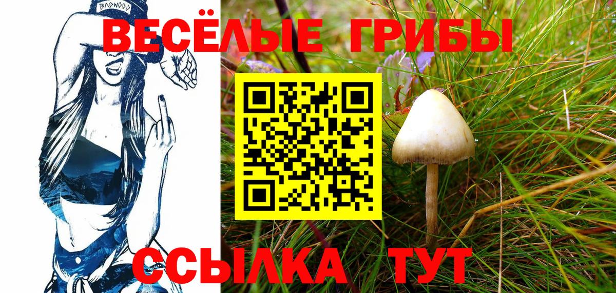 Галлюциногенные грибы MAGIC MUSHROOMS  купить наркотик  Мурино  Вход с VPN 